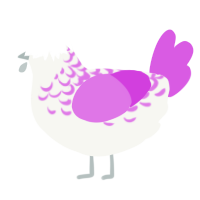 A white and orchid chicken with a half-lace pattern
