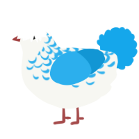 A white and sky chicken with a half-lace pattern