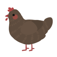 A bark chicken with a bar pattern