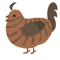 A brown and bark chicken with a bar pattern