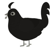 A sable chicken with a half-lace pattern
