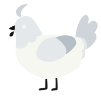 A white and mist chicken with a head pattern
