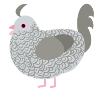 A mist and ash chicken with a double-lace pattern