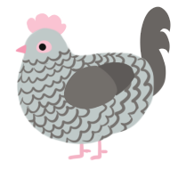 A silver and grey chicken with a lace pattern