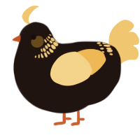 A sable and honey chicken with a neck-band pattern