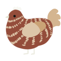 A russet and beige chicken with a bar pattern