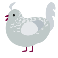 A silver and mist chicken with a half-lace pattern
