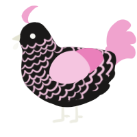 A sable and pink chicken with a lace pattern