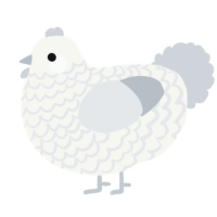 A white and mist chicken with a lace pattern