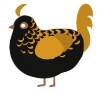 A black and ochre chicken with a half-lace pattern
