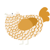 A cream and orange chicken with a lace pattern
