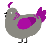 A ash and plum chicken with a neck-band pattern