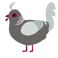 A grey and silver chicken with a neck-band pattern