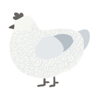 A white and mist chicken with a double-lace pattern
