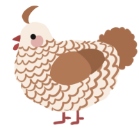 A cream and brown chicken with a lace pattern