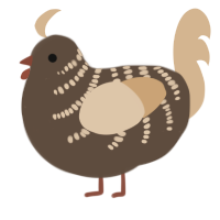 A bark and beige chicken with a half-bar pattern