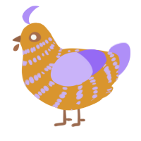 A orange and lilac chicken with a bar pattern
