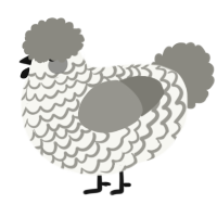 Mono, a white and ash chicken with a lace pattern