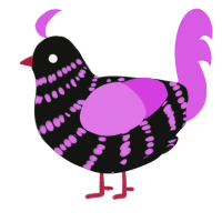 A black and orchid chicken with a bar pattern