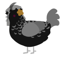 A sable and ash chicken with a half-lace pattern