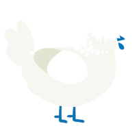 Snowstorm, a white chicken with a neck-speckle pattern