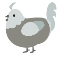 A ash and silver chicken with a head pattern