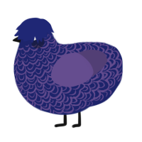 A navy and overcast chicken with a double-lace pattern