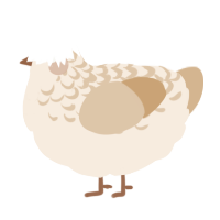 A cream and beige chicken with a half-lace pattern