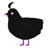A black chicken