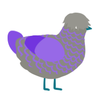 Graph, a ash and blurple chicken with a lace pattern