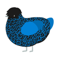 A sable and sapphire chicken with a double-lace pattern