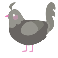 A grey and ash chicken with a head pattern
