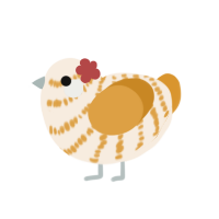 A cream and orange chicken with a bar pattern