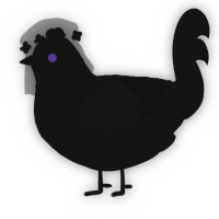 A black chicken with a lace pattern