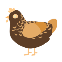 A bark and beige chicken with a half-lace pattern
