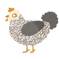 A cream and grey chicken with a double-lace pattern