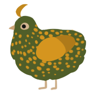 Guacamole, a olive and ochre chicken with a speckle pattern