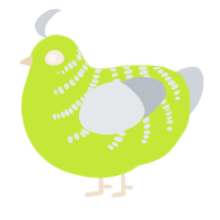 A lime and mist chicken with a half-bar pattern