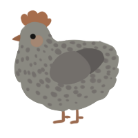 PerfectlyRoundPebble, a ash and grey chicken with a speckle pattern