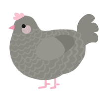 Pip, a ash chicken with a lace pattern