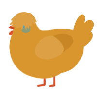 A orange chicken