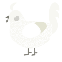 A white chicken with a double-lace pattern