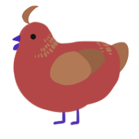 A red and brown chicken with a neck-band pattern