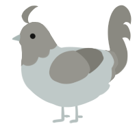 (unnamed), a silver and ash chicken with a head pattern