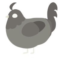 (unnamed), a ash and grey chicken with a head pattern