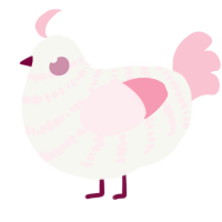 A white and rose chicken with a bar pattern