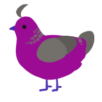 A plum and grey chicken with a neck-band pattern
