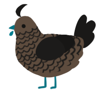 A bark and sable chicken with a lace pattern