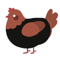 Émile, a black and russet chicken with a head pattern