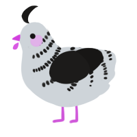 A mist and sable chicken with a half-bar pattern